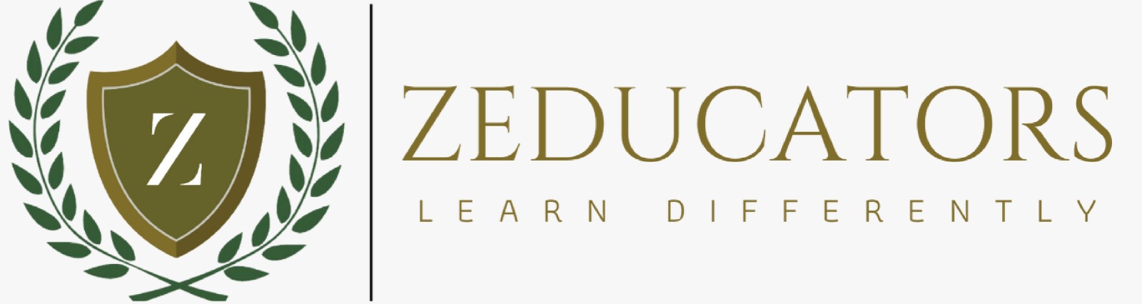 ZEDUCATORS LLP